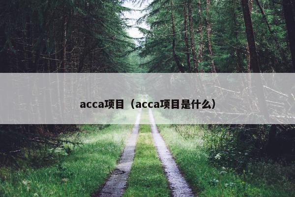 acca项目（acca项目是什么）